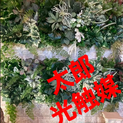 光触媒 人工観葉植物 ウォールグリーン フェイクグリーン 壁掛け