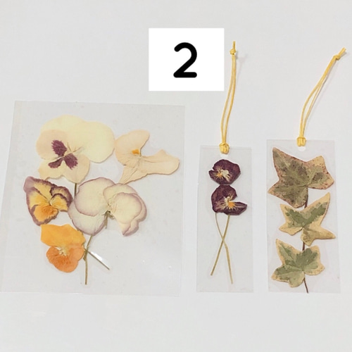 押し花 栞 パンジー ビオラ アイビー 3枚セット ＊しおり