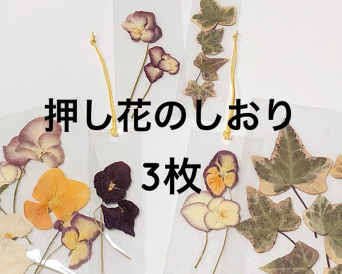 b6424779c7be0e20cb3187d0c74a6d