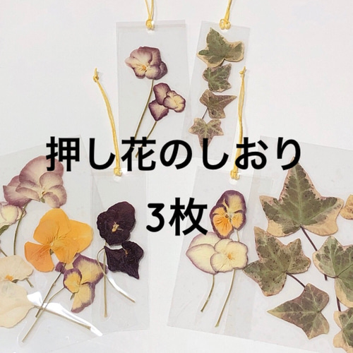 押し花 栞 パンジー ビオラ アイビー 3枚セット ＊しおり