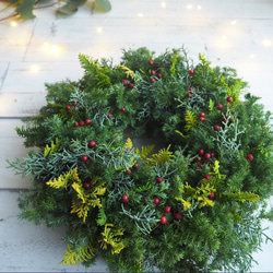 おまかせグリーンのフレッシュリース＊選べる２サイズ 6枚目の画像