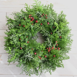 おまかせグリーンのフレッシュリース＊選べる２サイズ 8枚目の画像