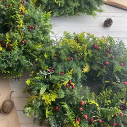 おまかせグリーンのフレッシュリース＊選べる２サイズ 3枚目の画像