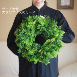 おまかせグリーンのフレッシュリース＊選べる２サイズ 11枚目の画像