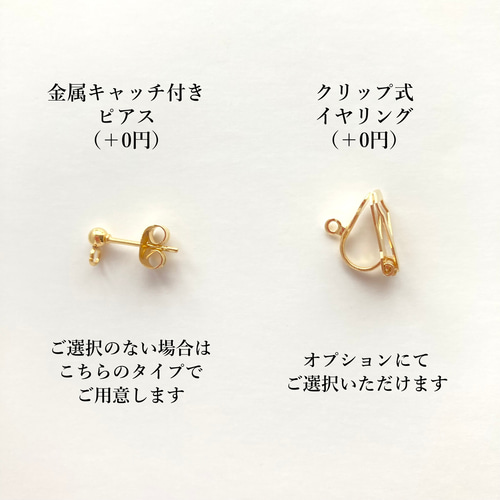 3way》万有引力発見 刺繍と天然石りんごのピアス/イヤリング ピアス