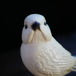 白色の鳥 no.3 9枚目の画像