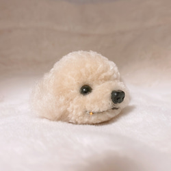 犬ぽんぽん☺︎マルプー トイプードル☺︎マスコット 羊毛フェルト