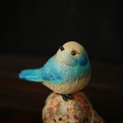青色の鳥 no.21 5枚目の画像