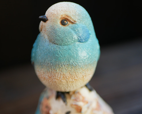 『曰く付き』　木製の鳥 ニワトリ 木彫り 木製小物 置物 鶏 にわとり 鳥 酉 アカシア無垢