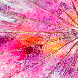 【一点もの】オシャレでユニークな蓮の葉ハッピーアート:  The beauty of lotus leaf 輝き,美 5枚目の画像