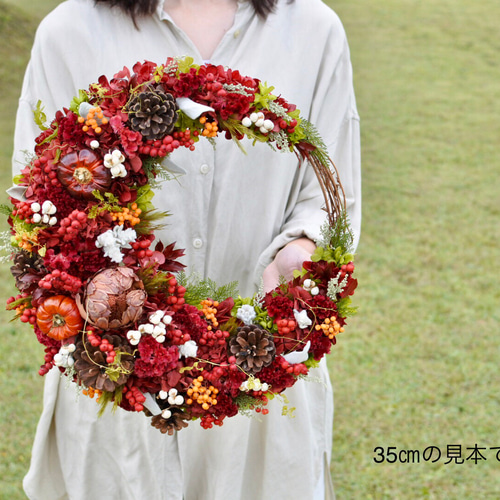 ドライフラワー❇️紅ヅル オリジナルリース用❣️ 赤ヅルのリース