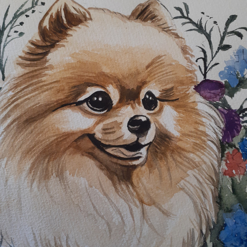 水彩画 ポメラニアン 絵画 makochin 通販 16618508｜Creema