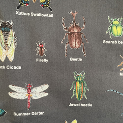 大きめサイズ　昆虫博士に贈るレッスンバック　11号帆布スカイブルー切替　ループ　35×45 4枚目の画像