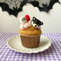 おかしな黒柴犬のハロウィンカップケーキ 1枚目の画像