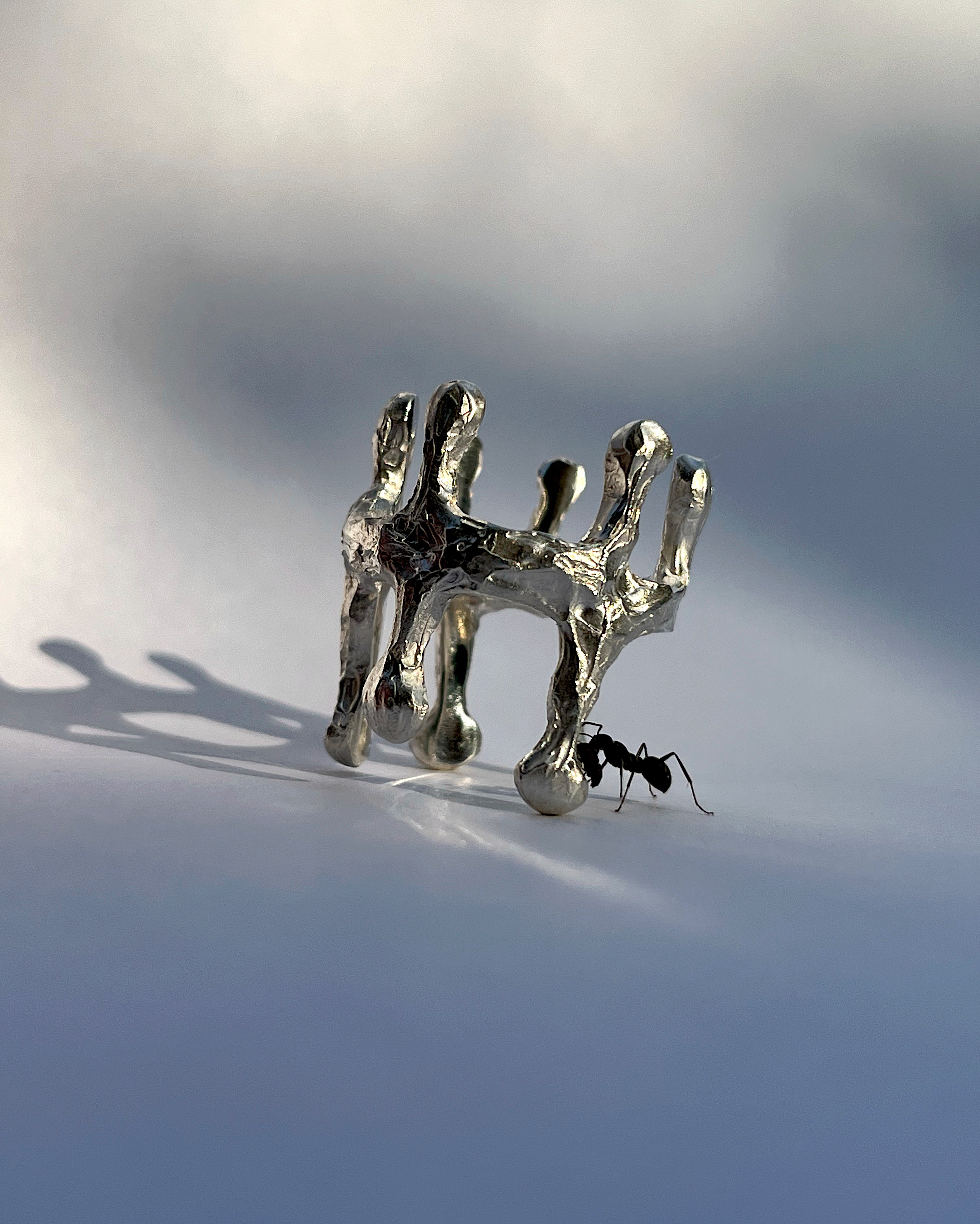 •おうかんリング•