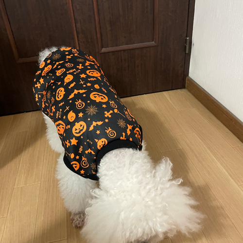 犬服ハンドメイドオーダー用生地③