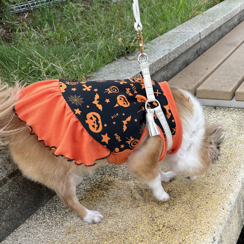 高級感あるオリジナルプリント生地 ハロウィン犬服 ハロウィンドレス 