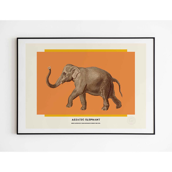 アートポスター　Asiatic elephant 2枚目の画像