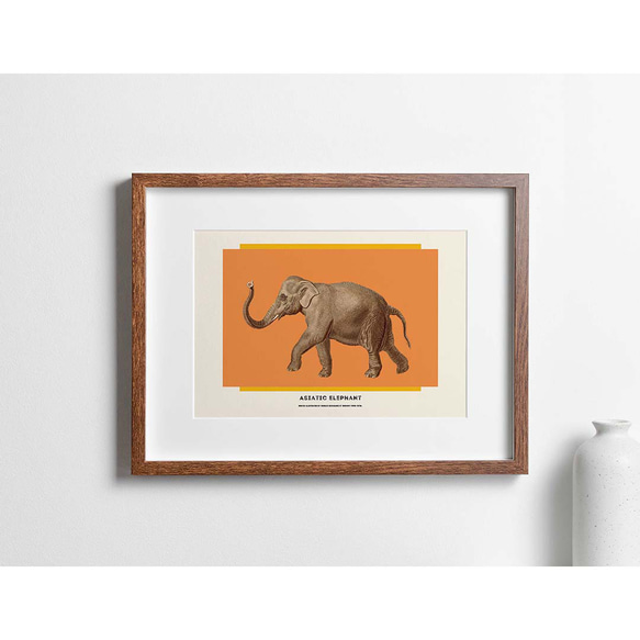 アートポスター　Asiatic elephant 4枚目の画像