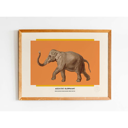 アートポスター　Asiatic elephant 3枚目の画像