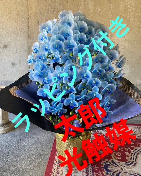 光触媒 人工観葉植物 ウォールグリーン フェイクグリーン リアル胡蝶蘭