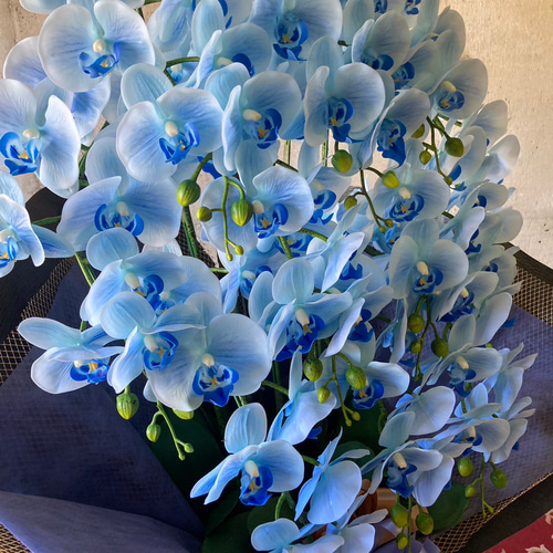 光触媒　人工観葉植物　ウォールグリーン　フェイクグリーン　リアル胡蝶蘭10本 光触媒 人工観葉植物 ウォールグリーン フェイクグリーン リアル胡蝶蘭