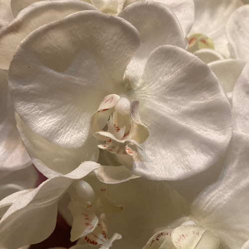 光触媒 人工観葉植物 ウォールグリーン フェイクグリーン 胡蝶蘭10本立白