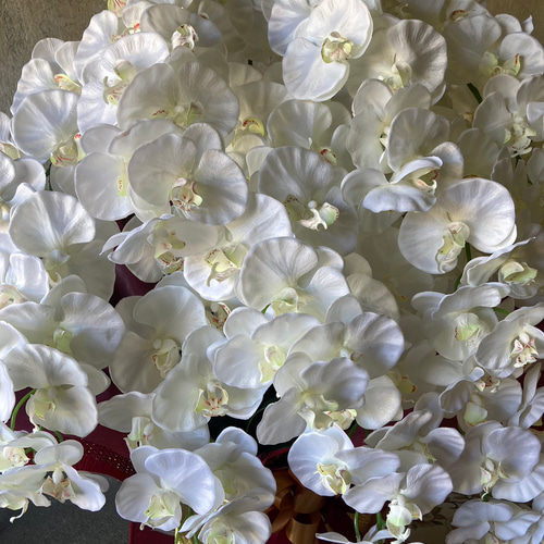 光触媒 人工観葉植物 ウォールグリーン フェイクグリーン 胡蝶蘭10本立白