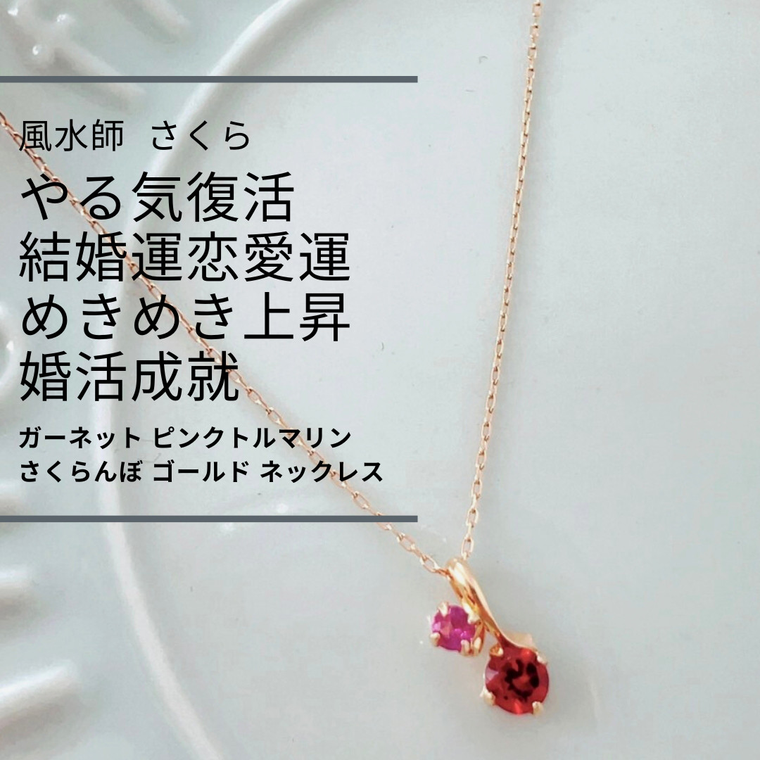 【Balloon】ネックレス(フォロー割引反映済み) Drops 6ペンスコインネックレス ｜DTPN-13 SV925 | Journal Fro