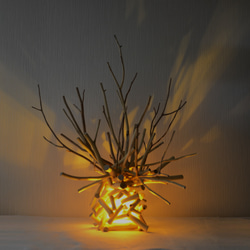 9ebed9a9dbb5258f1359f1f718c625