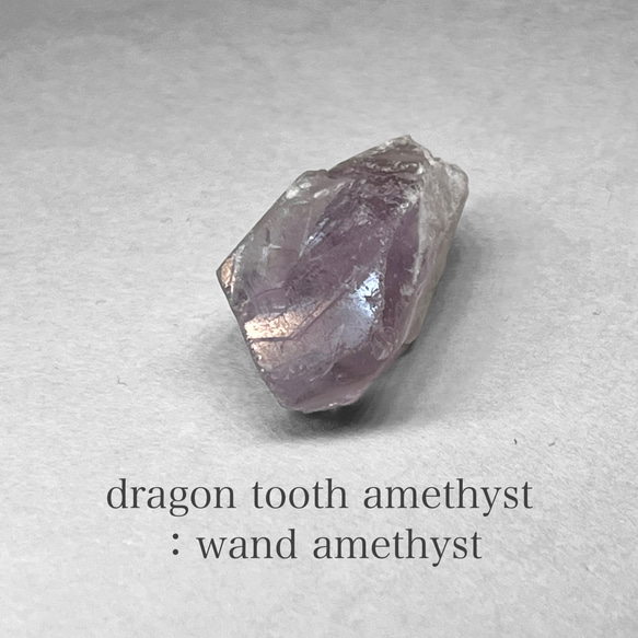 dragon tooth ( wand ) amethyst / ブラジル産ドラゴントゥース (ワンド)アメジスト L 1枚目の画像