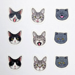 ネコの顔フレークシール　マッチ箱デザイン　各一種・32枚入り　マステタイプ 7枚目の画像
