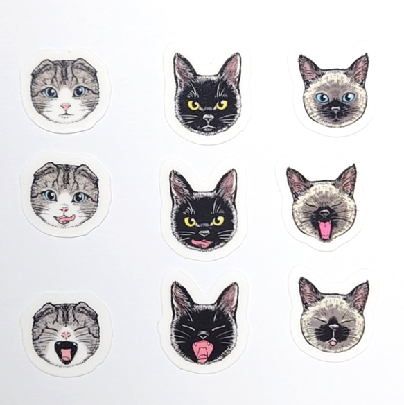 ネコの顔フレークシール　マッチ箱デザイン　各一種・32枚入り　マステタイプ 5枚目の画像