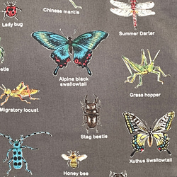 大きめサイズ　昆虫博士に贈るレッスンバック　11号帆布リーフグリーン切替　ループ　35×45 3枚目の画像