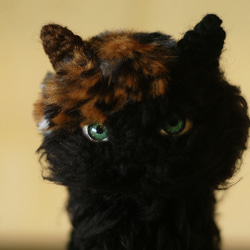 部分三毛柄の黒猫さん 11枚目の画像