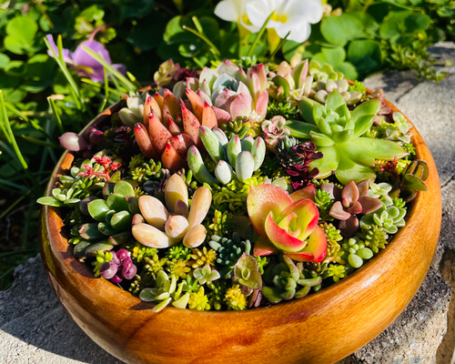 41f6476138580d221c58416cd13d2f