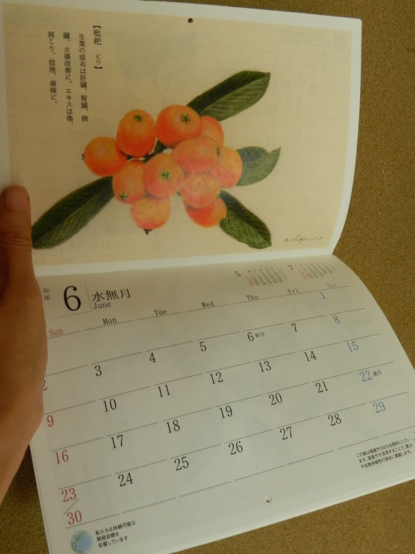 【2024暦　季節の薬草木】印刷カレンダー　 3枚目の画像