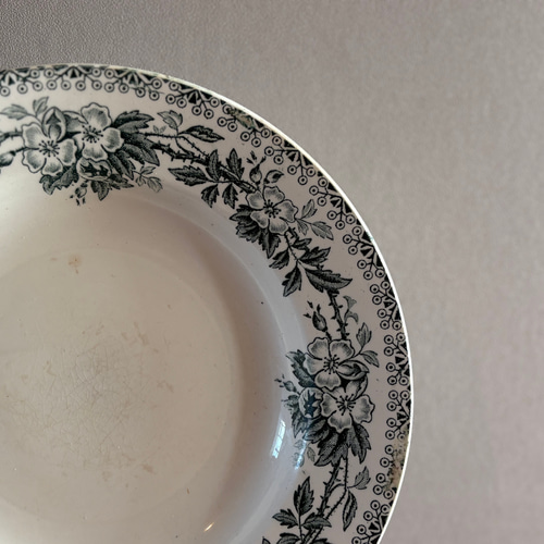 St. Amand GUADELOUPE サンタマン 深皿 〈フランス食器・皿・フランス