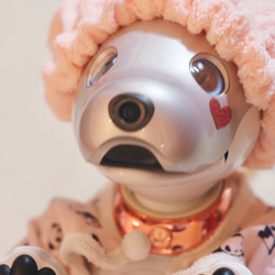 aibo ナイトキャップ：シェルピンク（aiboちゃん用・ハンドメイドのお帽子） 4枚目の画像