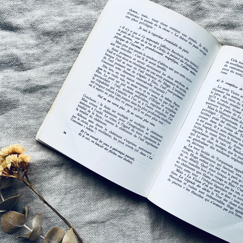 フランスの古書 France レトロ 装飾品 古道具 蚤の市 アンティーク本