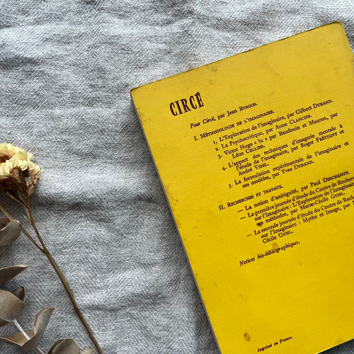 フランスの古書 France レトロ 装飾品 古道具 蚤の市 アンティーク本