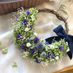 夏☀︎SALE！アナベルとルリタマアザミのキュートなハーフリース アナベルとルリタマアザミの夏色ハーフリースの通販 by may