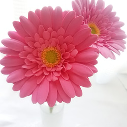 特價【僅售】❁深粉紅色黏土花非洲菊2件套室內花❁ 第3張的照片