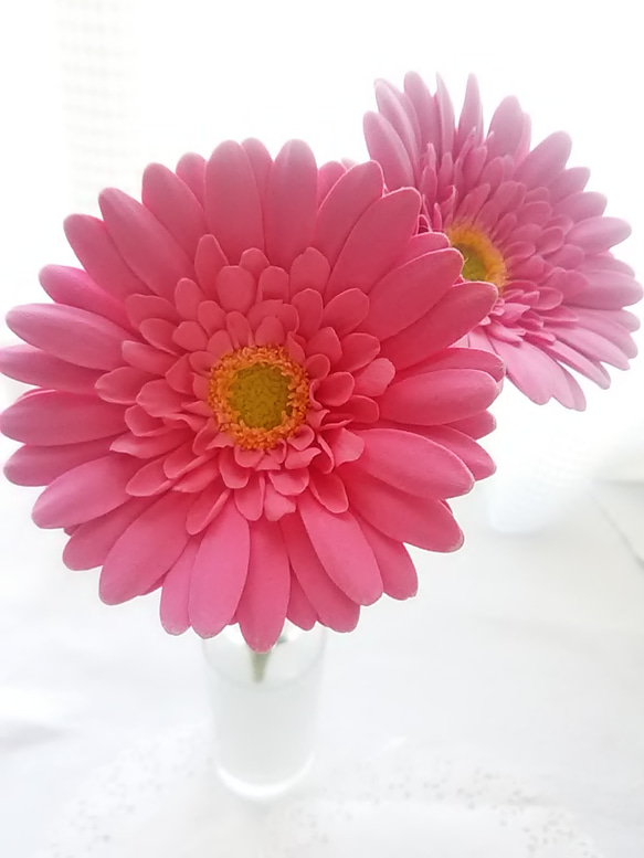 特價【僅售】❁深粉紅色黏土花非洲菊2件套室內花❁ 第3張的照片