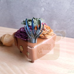YF120_手作文創皮革多肉植物音樂盒 、音樂盒、盆栽 第2張的照片