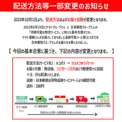 jnyuta専用　発送方法変更 backend=imagemagick;version=1;