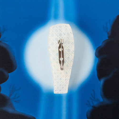 カイロウドウケツ立体ブローチ (マグネットにも変更可) ブローチ ねぎ