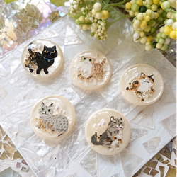 猫のボタン☆5個 o-19 ネコ/ボタン/カボション/動物 ボタン こうちゃん