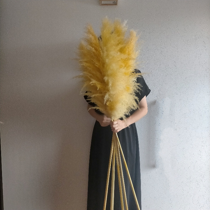 ドライフラワー❇️ゴールドとパンパス❣️ 🌾パンパスグラスアレンジと限定商品のご紹介🌾