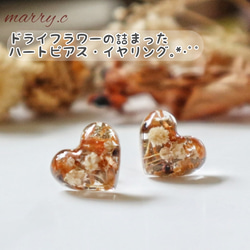 ドライフラワーの詰まったハートピアス・イヤリング｡*･ﾟﾟmarry.c's handmadeaccessory 1枚目の画像